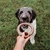 Mordedor Nylon - Benebone Ring Bacon na internet