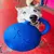 Bola Gigante-Super Ball - comprar online