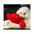 Pelucia com corda -Sr Carangueijo - comprar online