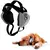 Fone Protetor De Ouvido Para Cachorro - DogPhone - comprar online