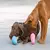 Kong Puppy Large - loja online