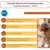 Bola Respirável para Cães - Chuckit Fetch Ball - loja online