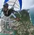 Asa delta/ Parapentes - comprar online