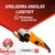 AMOLADORA ANGULAR 7" 180MM 2200W