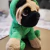 Imagem do Pug Dino de Pelúcia da Buba