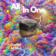 All In One Arroz+