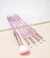 Set x5 brochas glitter