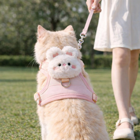 Arnés 'Cute & Seguro' - comprar en línea