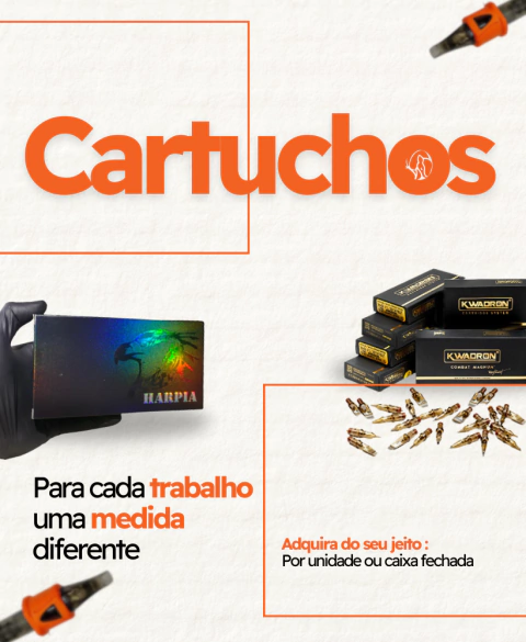 Carrossel 1