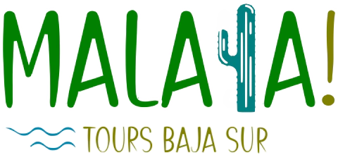 Malaya Tours