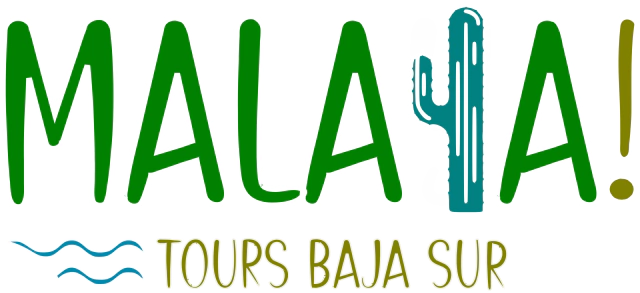 Malaya Tours