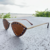 Hams Sunglasses Louise 2.0 Gatinho Feminino na internet