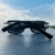 Hams Sunglasses Sussurro Unissex - comprar online