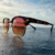 Hams Sunglasses Jota Animal Print Unissex na internet