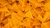 Tortilha de milho para Fritar Caixa 10kg - comprar online