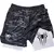 Calção Esportivo SpiderFit - loja online