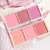 HISYI-Blush de três cores na internet