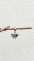 Berloque de borboleta