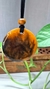 Colar Laranja e Preto