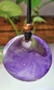 Colar Roxo