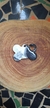 Tag para Pet - comprar online