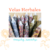 Vela Herbal