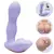 Vibrador Tabena Ponto G 10 Modos App Lilo Vipmix