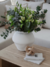 Tinaja Lisboa - comprar online