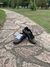 Campus 00s - Charls Shoes