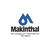 Akane 100 Makinthal Clarificador Agua Turbia Suciedad Pileta - comprar online