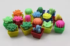 Cactus crece con el agua X CAJA DE 48 unidades - tienda online
