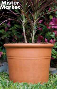 Maceta Terracota Barro Cilindro con Borde Clasico Jardin Decoracion Blum - comprar online