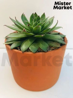 Maceta Terracota Barro Cilindro Clasico Jardin Decoracion Blum - comprar online