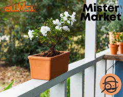 Maceta Terracota Barro Jardinera Clasico Jardin Decoracion Blum - comprar online