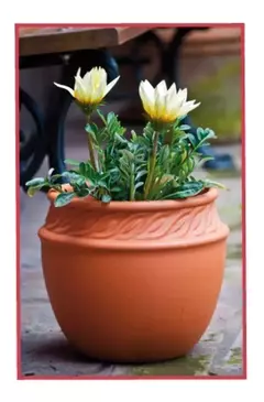 Maceta Terracota Barro Calchaqui Clasico Jardin Decoracion Blum - comprar online