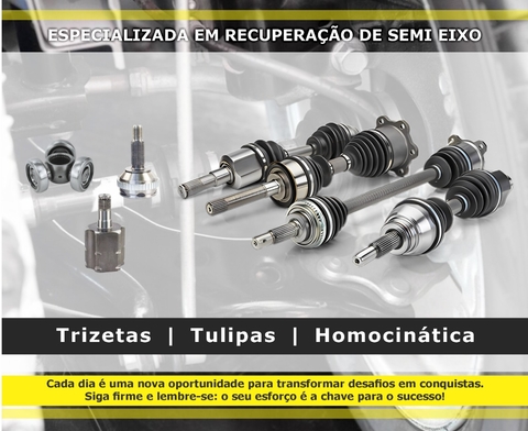Carrossel 1