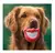 Chifle sonrisa