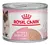 Lata Royal Canin Mother And Baby Cat