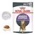 Pouch Royal Canin Apetite Control