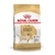 Royal Canin Labrador Adulto