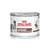 Royal Canin Lata Recovery