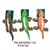 Peluche Lagarto