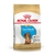 Royal Canin Salchicha Puppy
