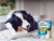 Dentalife - comprar online