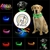 Collar LED