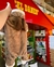 Enterito de peluche reno