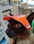 Gorra-Vicera - comprar online