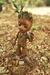 Baby Groot na internet