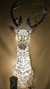 Venado edicion TALAVERA