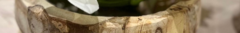 Banner de la categoría Bandejas y Centros de Mesa
